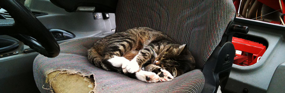 Headerbild Kontakt: Eine Katze schläft auf einem Schleppersitz