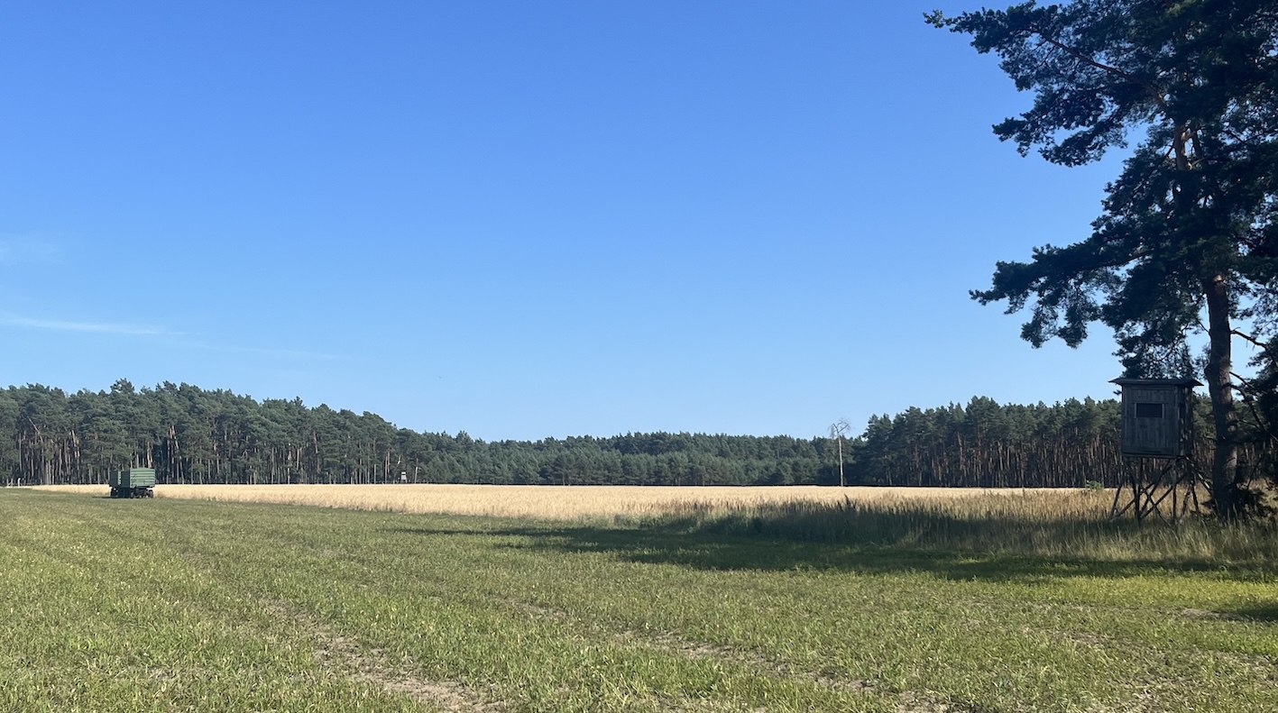 Der Bauernbund befürchtet, dass ertragsschwache Standorte der Landwirtschaft verloren gehen